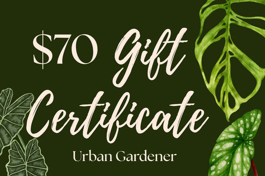 Plant Care Gift Card
