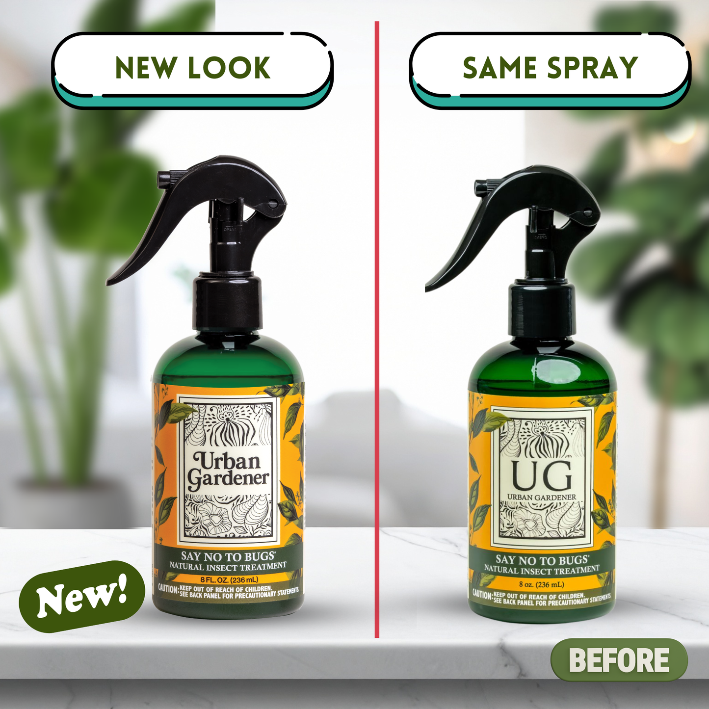 Natural Insect Treatment for Houseplants | Treats Mealybugs, Fungus Gnats and Spider Mites - Say No To Bugs