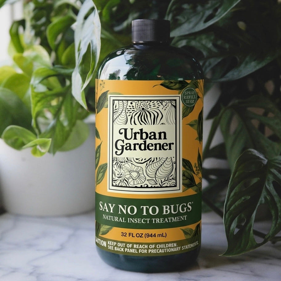 Natural Insect Treatment for Houseplants | Treats Mealybugs, Fungus Gnats and Spider Mites - Say No To Bugs
