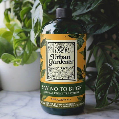 Natural Insect Treatment for Houseplants | Treats Mealybugs, Fungus Gnats and Spider Mites - Say No To Bugs