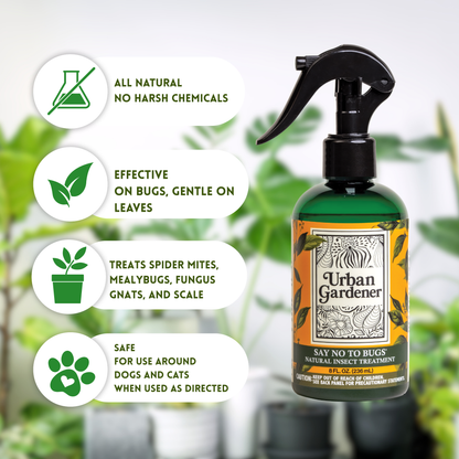 Natural Insect Treatment for Houseplants | Treats Mealybugs, Fungus Gnats and Spider Mites - Say No To Bugs