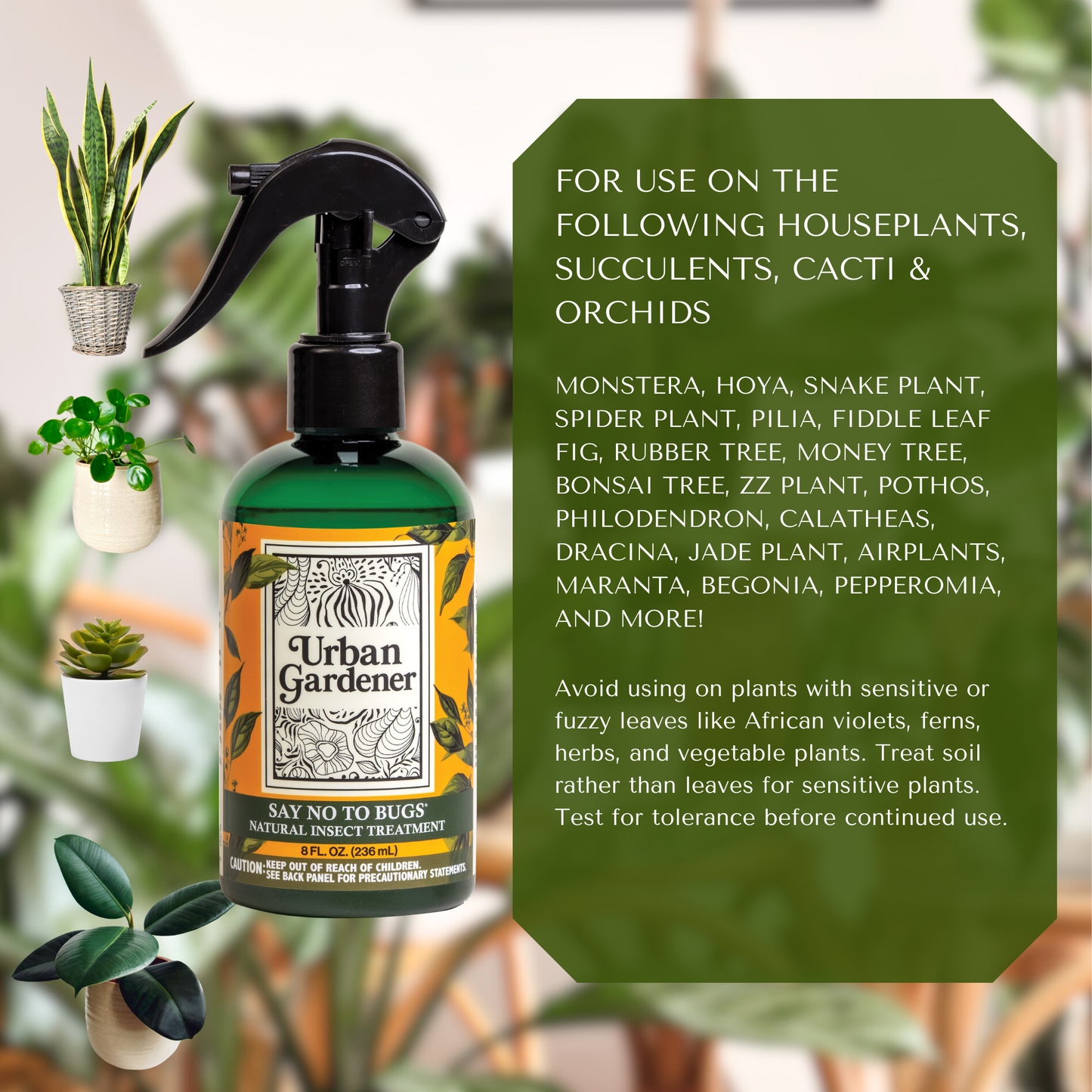 Natural Insect Treatment for Houseplants | Treats Mealybugs, Fungus Gnats and Spider Mites - Say No To Bugs