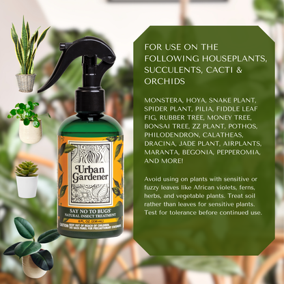 Natural Insect Treatment for Houseplants | Treats Mealybugs, Fungus Gnats and Spider Mites - Say No To Bugs