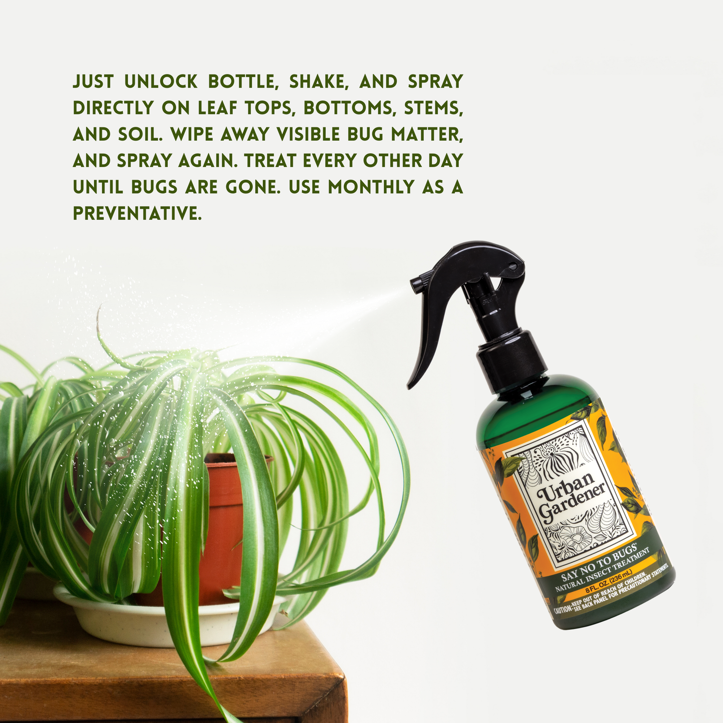 Natural Insect Treatment for Houseplants | Treats Mealybugs, Fungus Gnats and Spider Mites - Say No To Bugs