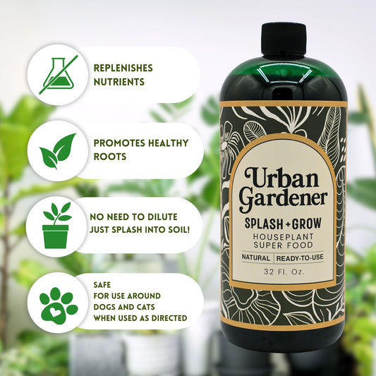 Houseplant Soil Super Food - Splash + Grow | Natural liquid Superfood soil treatment for houseplants | Just splash into soil!