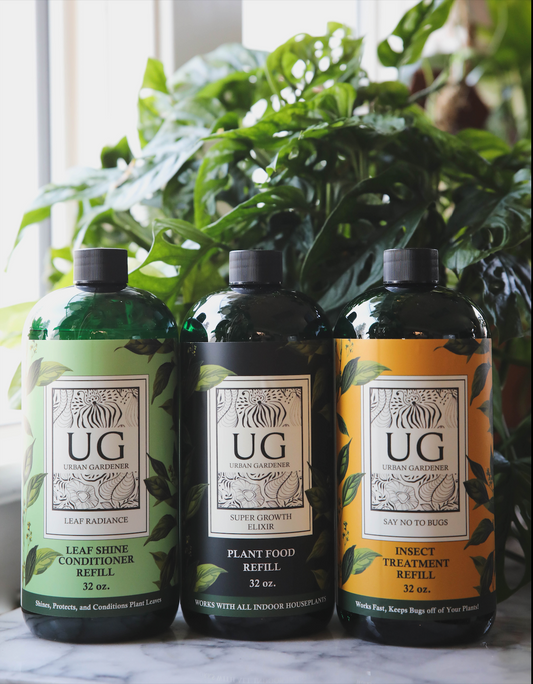 Refill Bottles 3-Pack